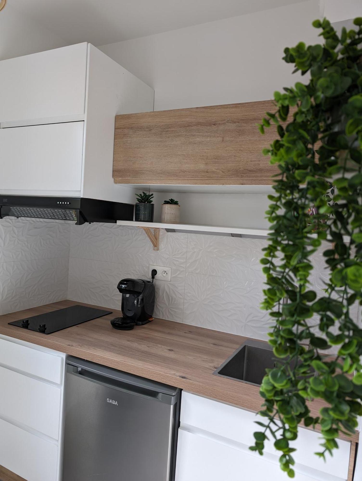 מונפלייה Appartement Cosy Au Calme A Cote Du Zoo Avec Balcon Et Parking Securise מראה חיצוני תמונה